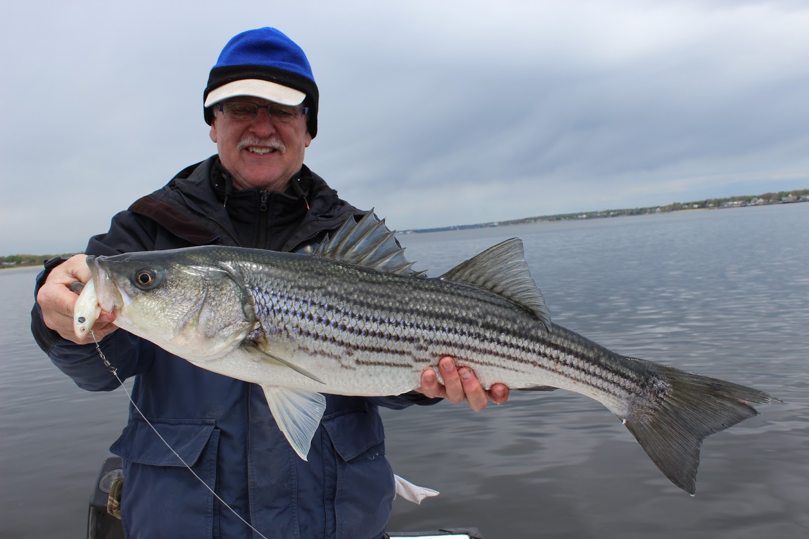 Rhode Island Striped Bass A Big Week of Fishing