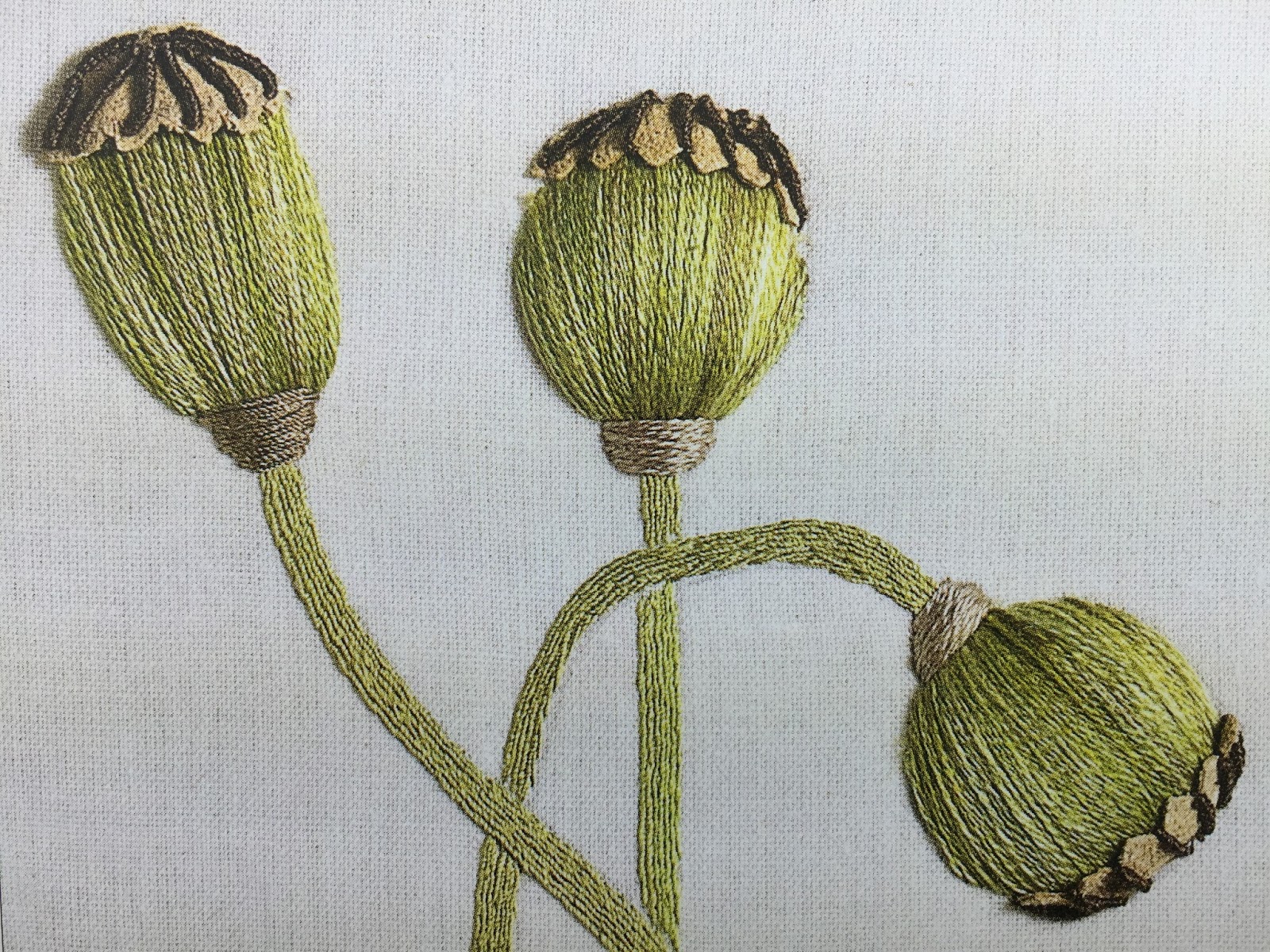 feeling stitchy Book Review Stumpwork Embroidery