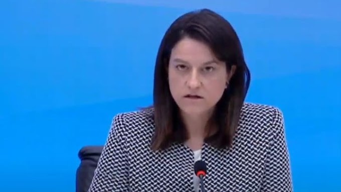 Ρατσιστική επίθεση στον Αντετοκούνμπο: Η Κεραμέως απομάκρυνε από τη θέση του τον καθηγητή πανεπιστημίου