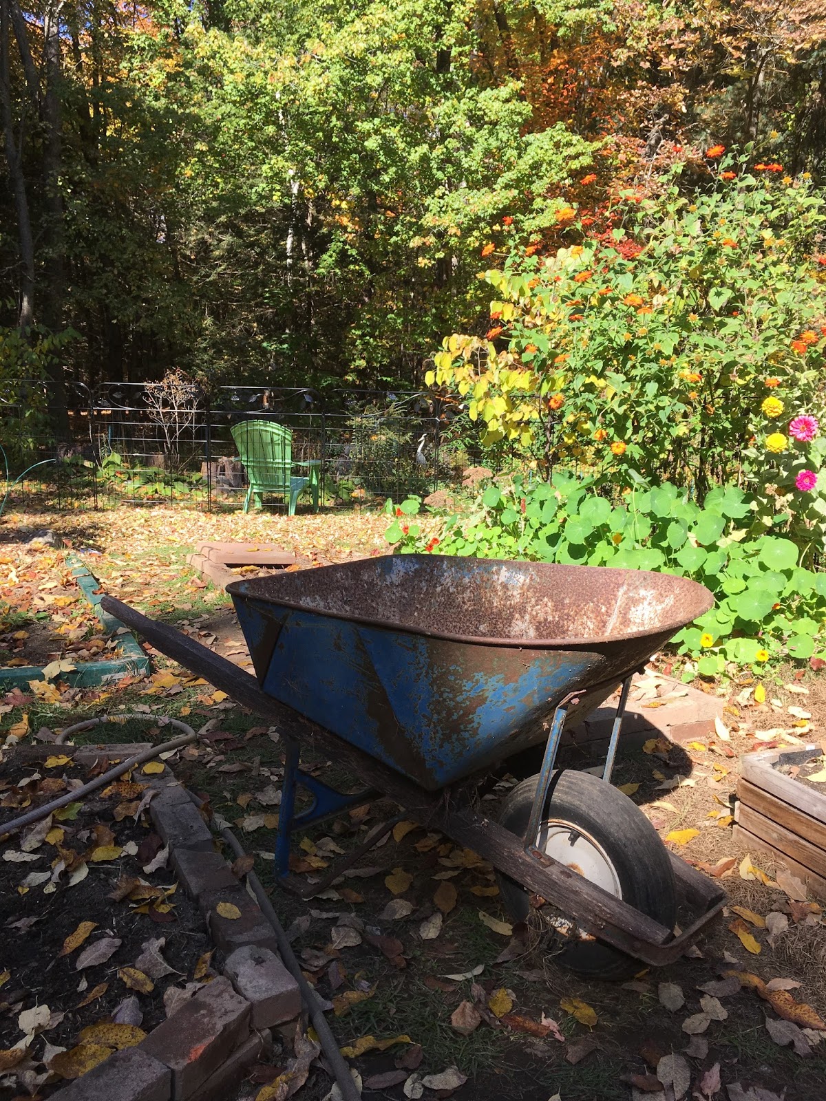 Wheelbarrows "Fabulous old wheelbarrow"