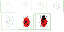 ladybug drawing draw easy simple some pastel right use