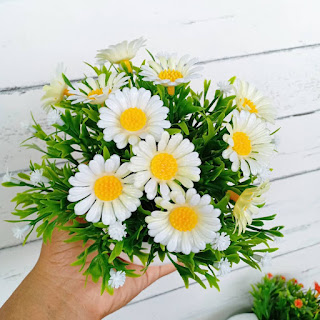 Foto Bunga Matahari Putih