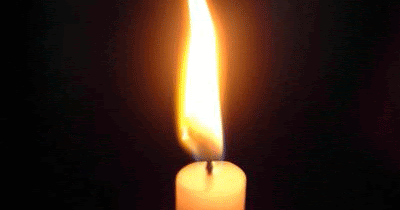 Collegium Novum Blog Zur Zeitgeschichte Gestorben Zum Tod Von