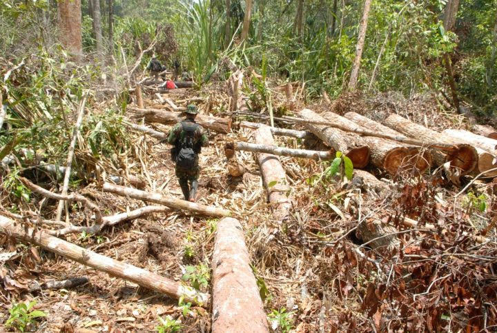 Oktober 2019 Walhi Jambi