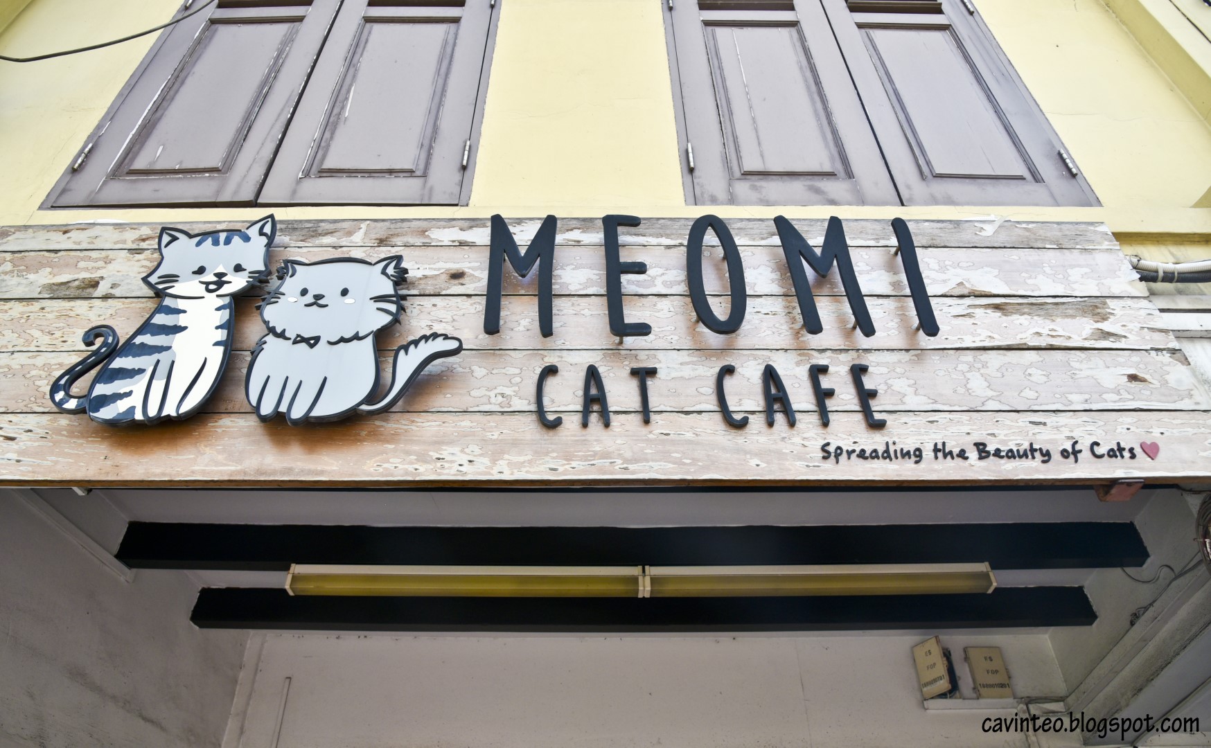 Entree Kibbles Meomi Cat Cafe Bugis (Near Haji Lane) in Singapore 