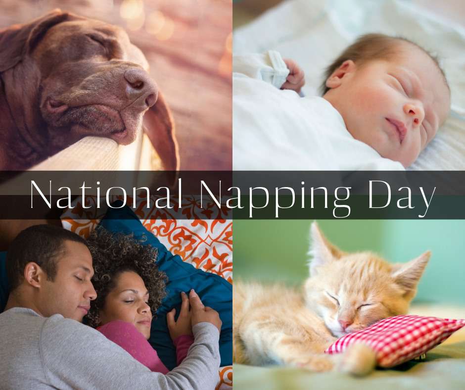 National Napping Day Wishes Lovely Pics National Napping Day Wishes Lovely Pics