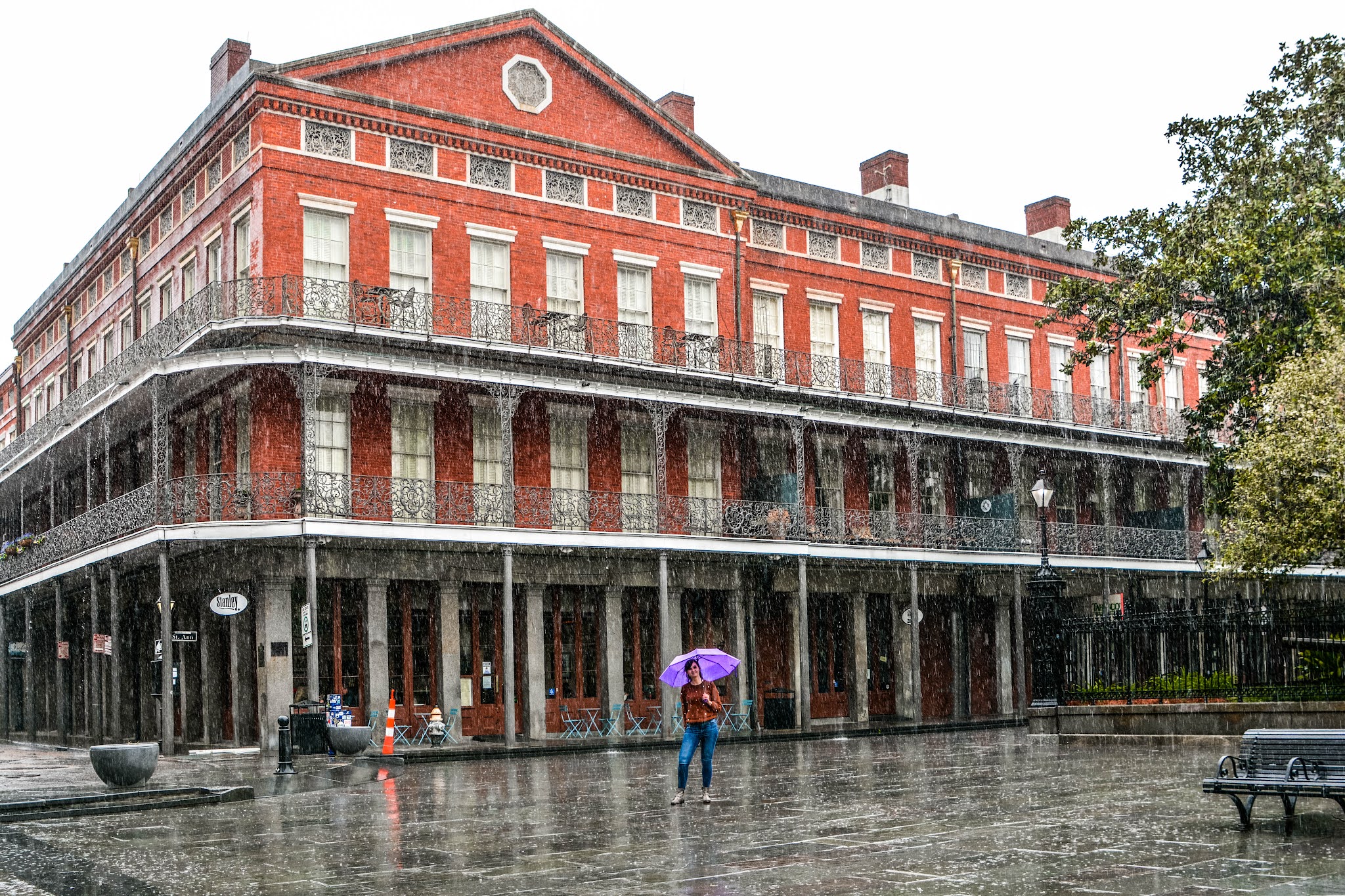 Theresa #39 s Mixed Nuts: Three Days In NOLA Day 1: The French Quarter Theresa #39 s Mixed Nuts: Three Days In NOLA Day 1: The French Quarter