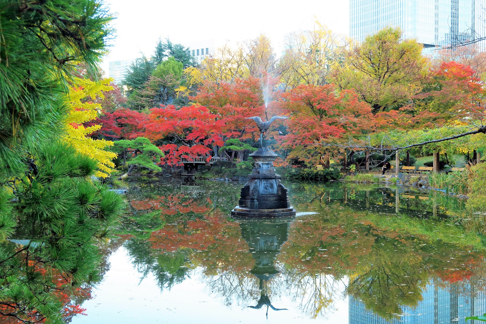 Wootun旅圖 東京 東京銀杏 日比谷公園 田園調布 寧靜悠雅賞銀杏的好去處 見頃與交通資訊