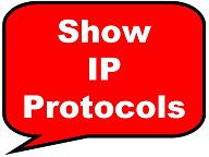 Link to Show IP Protocols