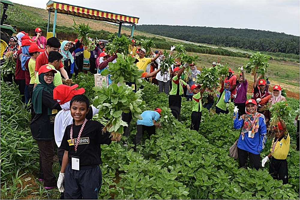 Attractions Area in Selangor Selangor Fruit Valley (SFV)