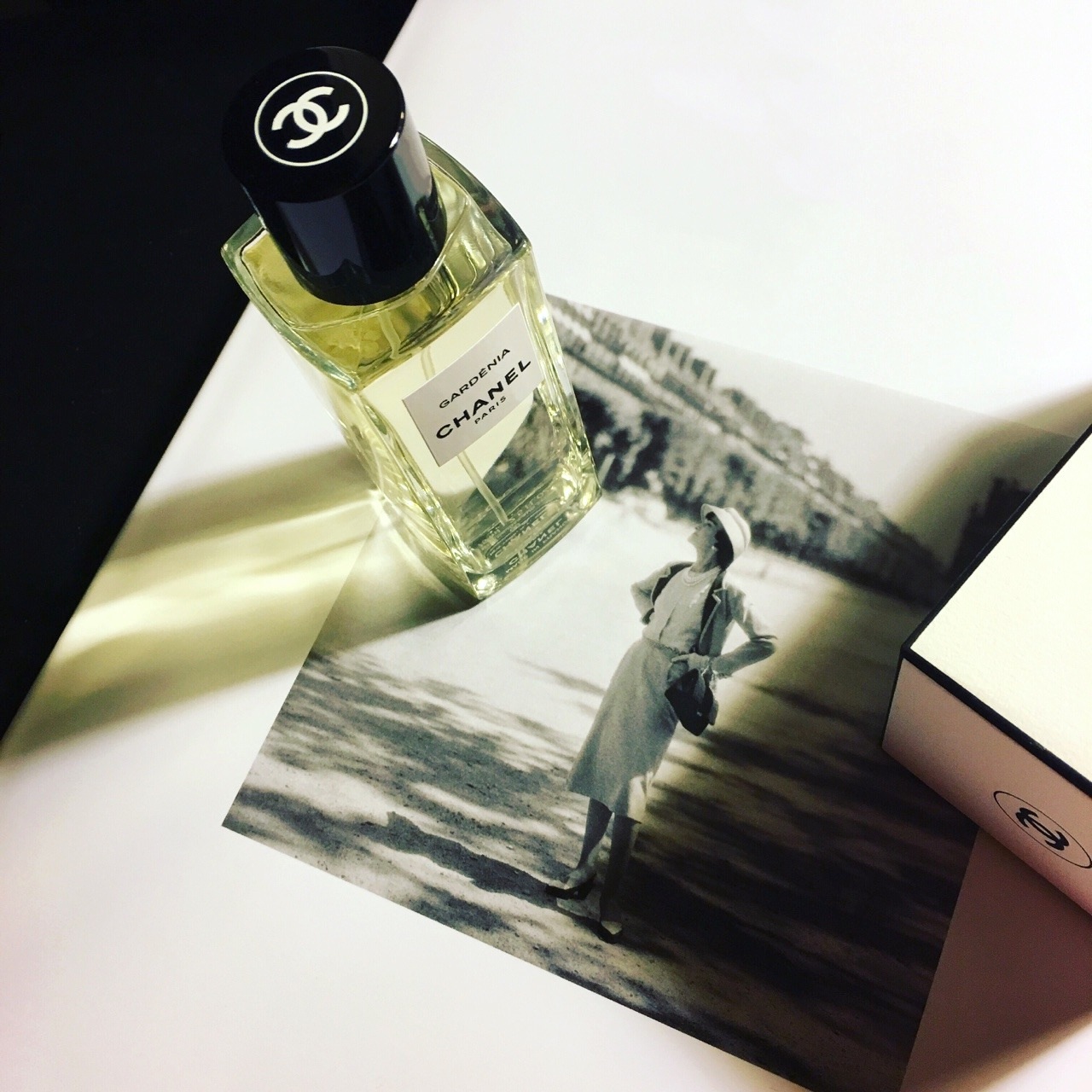 thebeautycove