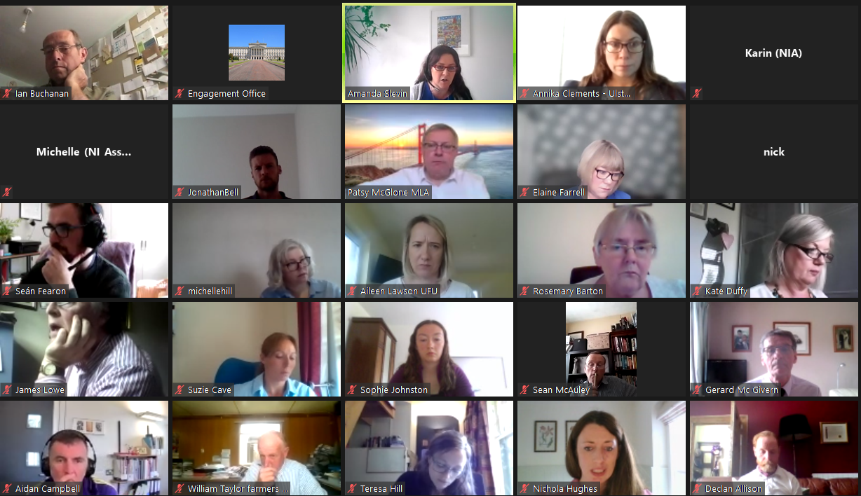 Screenshot from an MS Teams meeting there are a number of faces of people in a grid view who attended the meeting.