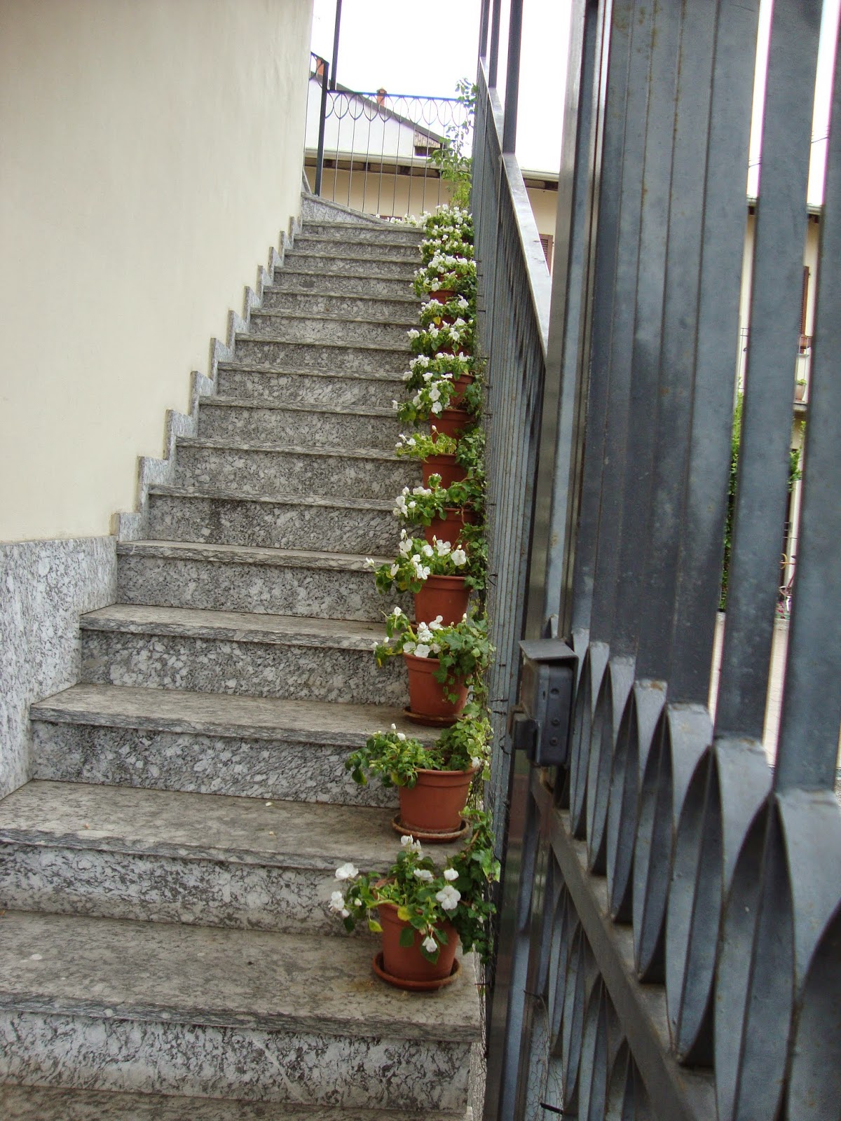 Un piccolo giardino in città : una lunga scala di fiori Scala idee Giardino