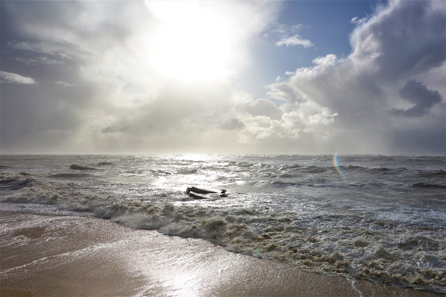 cap ferret en famille