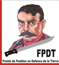 Blog del FPDT