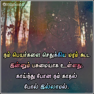 Sad love quote in tamil