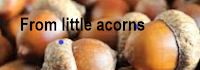 From little acorns