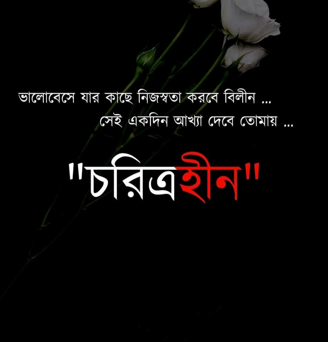 40+ Best Bengali What's app Status & SMS Bangla Status & SMS Bangla SMS