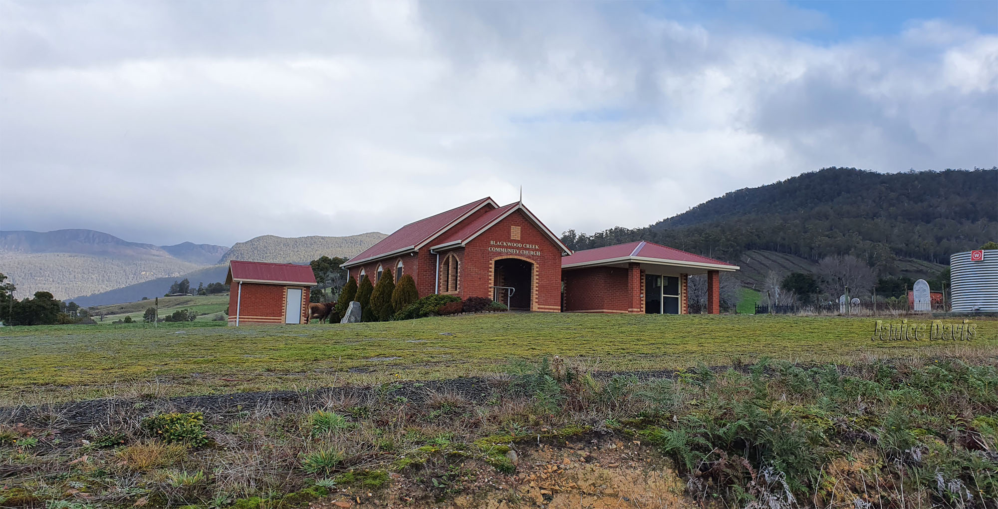 thoughts & happenings Blackwood Creek, Tasmania
