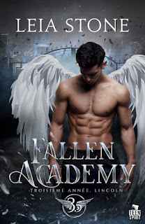 Fallen Academy #3.5 Lincoln de Leia Stone - Un brin de lecture