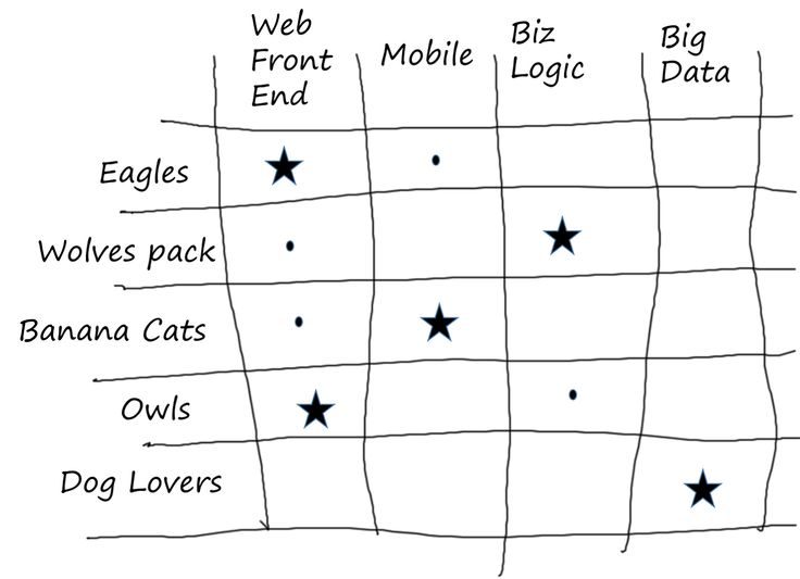 Skills Matrix Team