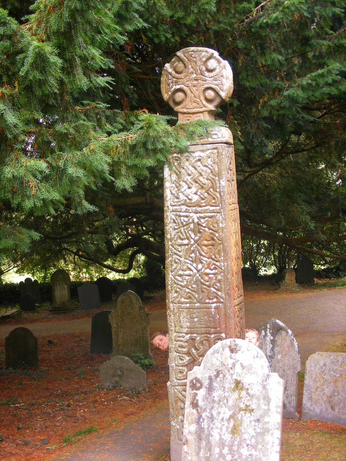 The Greenman Great Trees of Wales 2 Nevern's Bleeding Yew
