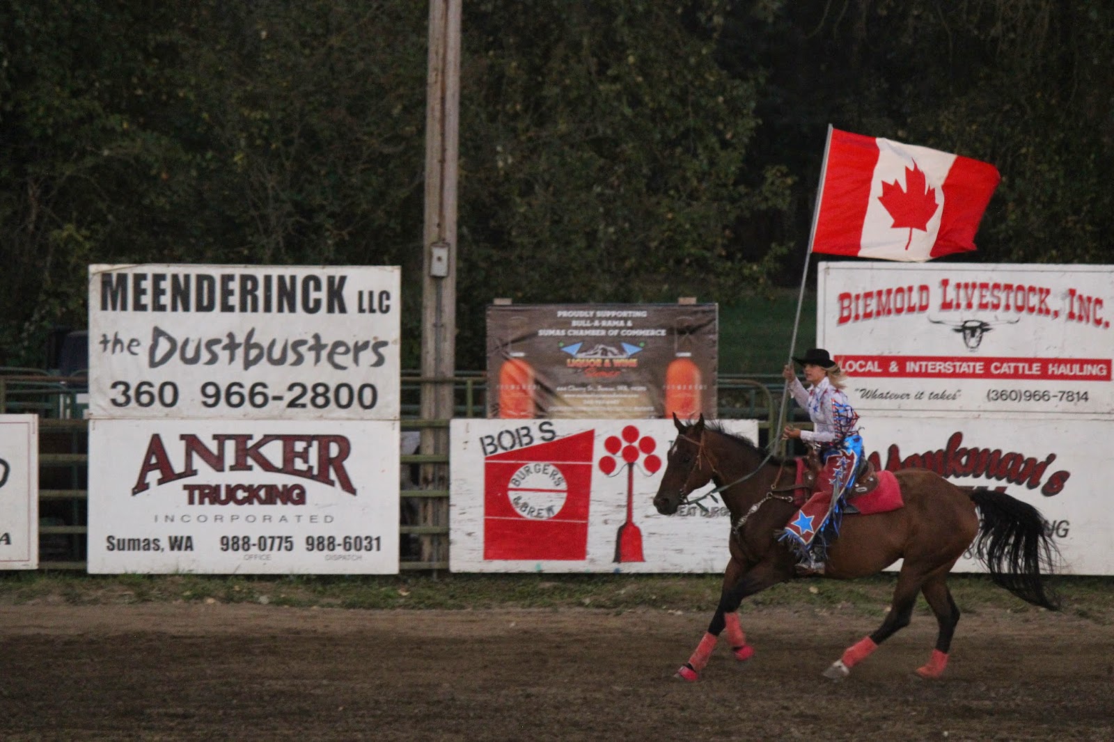 Nooksack Valley Nostalgia Sumas Roundup "See em Buck!"...part 15 of