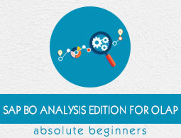 SAP BO Analysis Edition For OLAP ebook