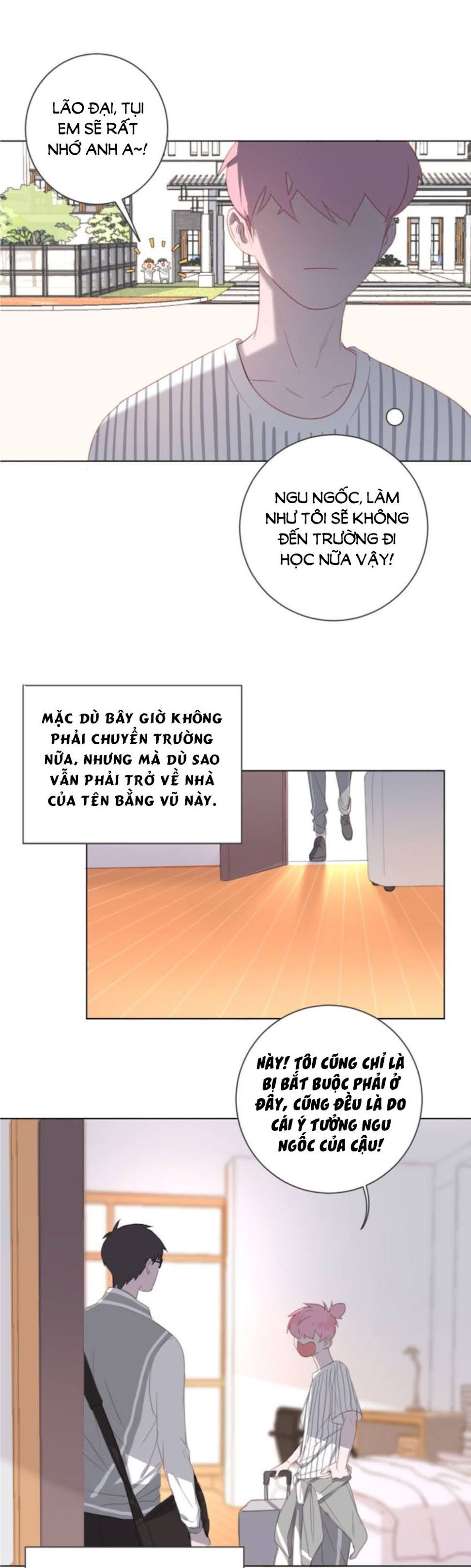 Đọc truyện Thế giới của một chú mèo - Chapter 15