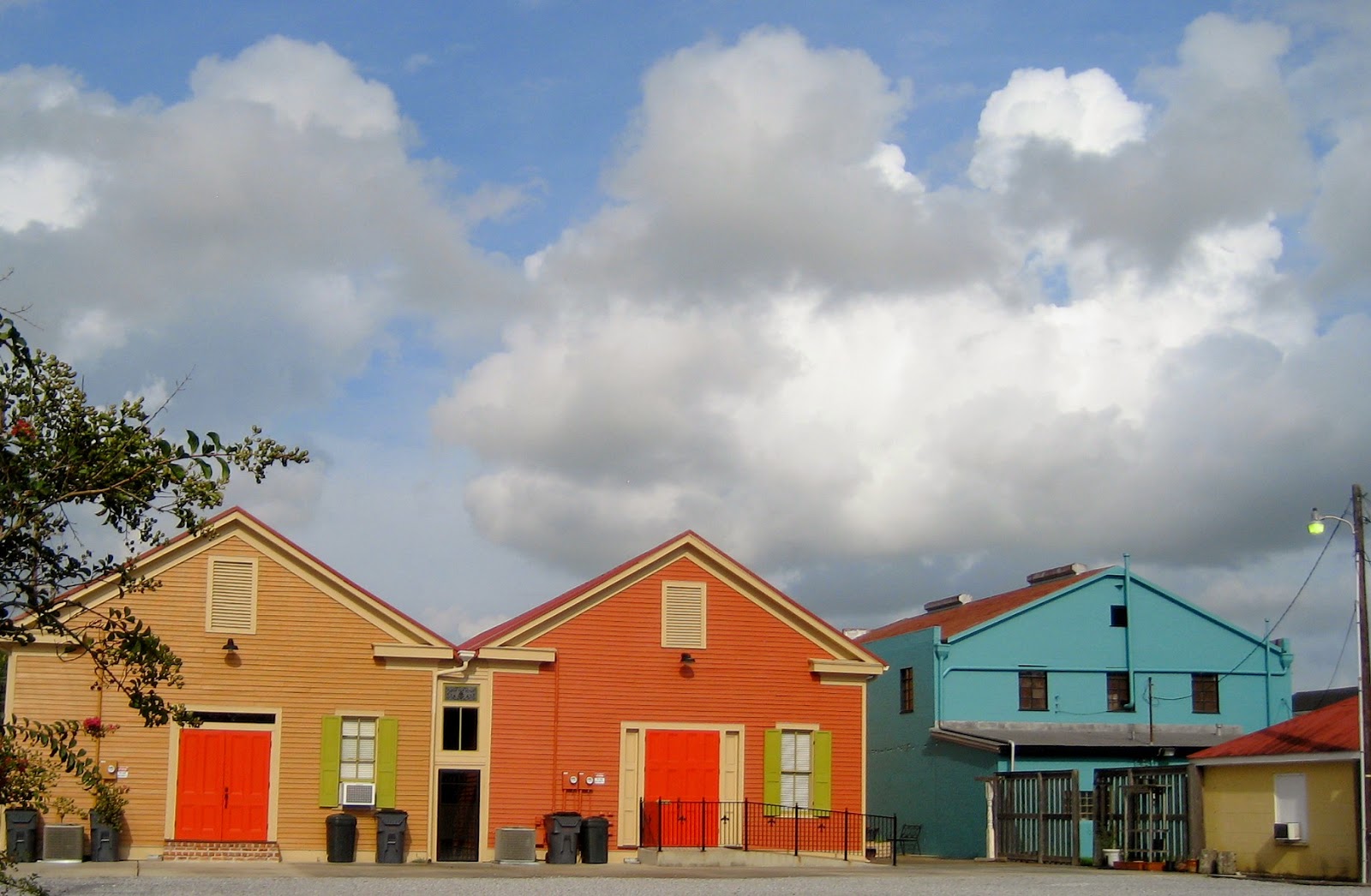 Living Rootless Louisiana Franklin