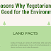 20 Reasons Why Vegetarian Diets Are Good For The Environment #infographic