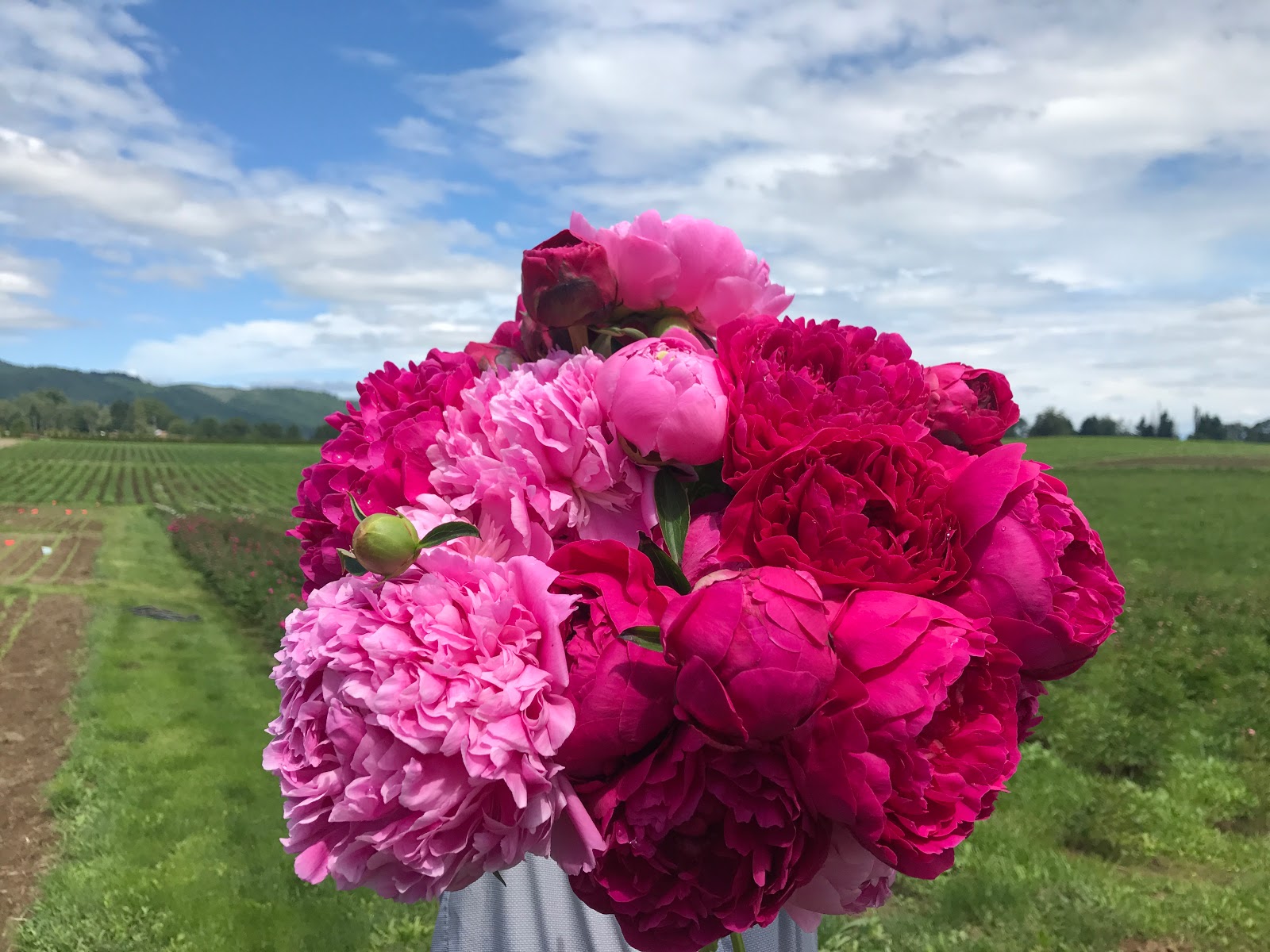the farmer's wife 2019 season at Sauvie Island Farms