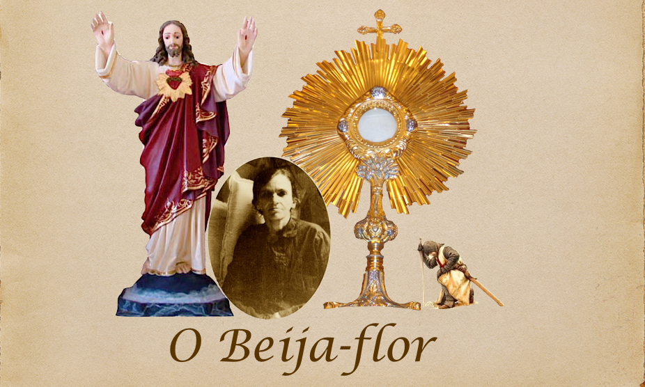 O Beija-Flor