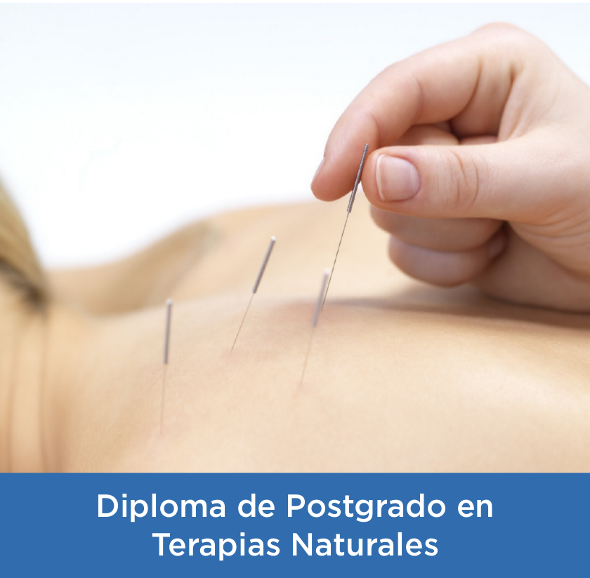 Curso Experto en Terapias Naturales