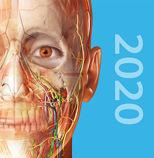 Human Anatomy Atlas 2020 Complete 3d Human Body 2020 0 69 Apk Obb