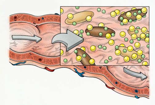 Stop Minum Air Dingin! Karena Sangat Berbahaya Untuk Kesehatan Kita Stop Minum Air Dingin! Karena Sangat Berbahaya Untuk Kesehatan Kita