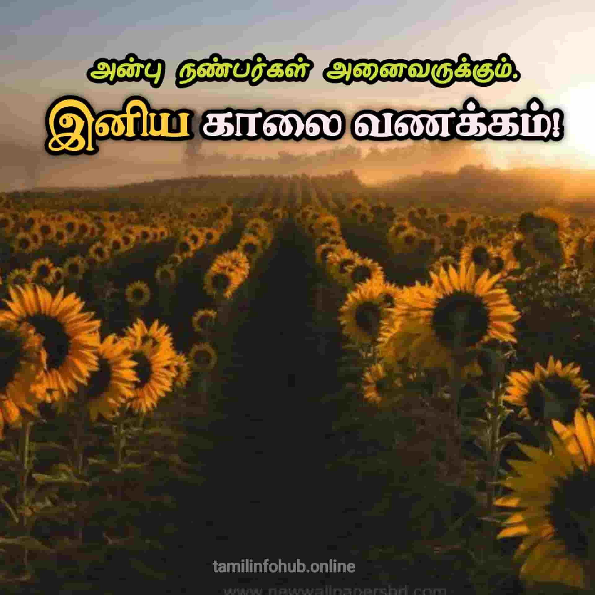 Good Morning Images in Tamil | Good Morning Quotes in Tamil | Good Morning Kavithai Good morning images in tamil