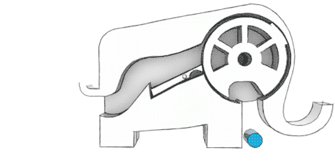 Bulu: Coupe anatomique de l'éléphant