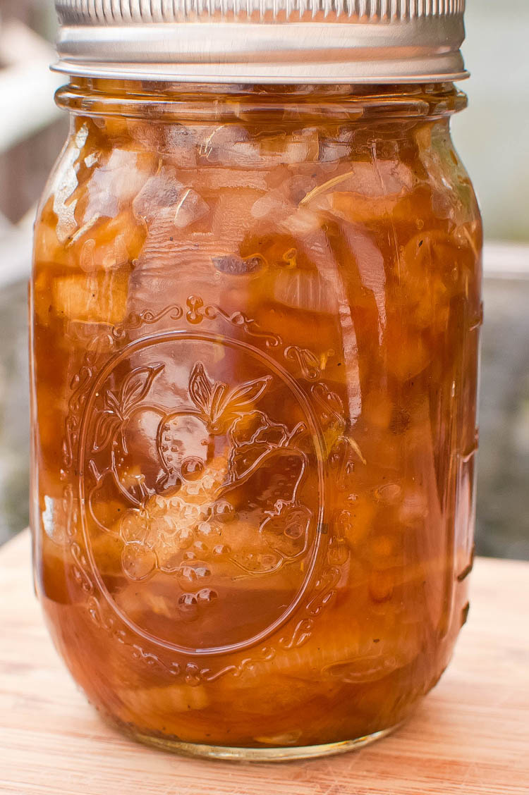 Feeding Andy Apple, Fennel, & Red Onion Marmalade