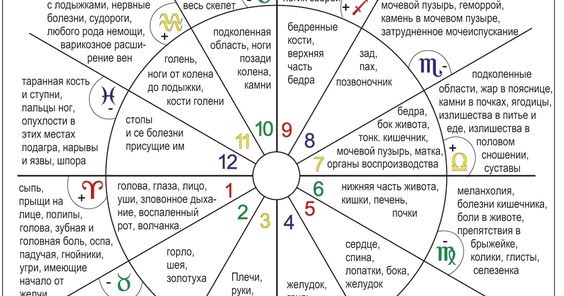 Как Научиться Ведической Астрологии