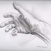 More Drawing - My Hand
