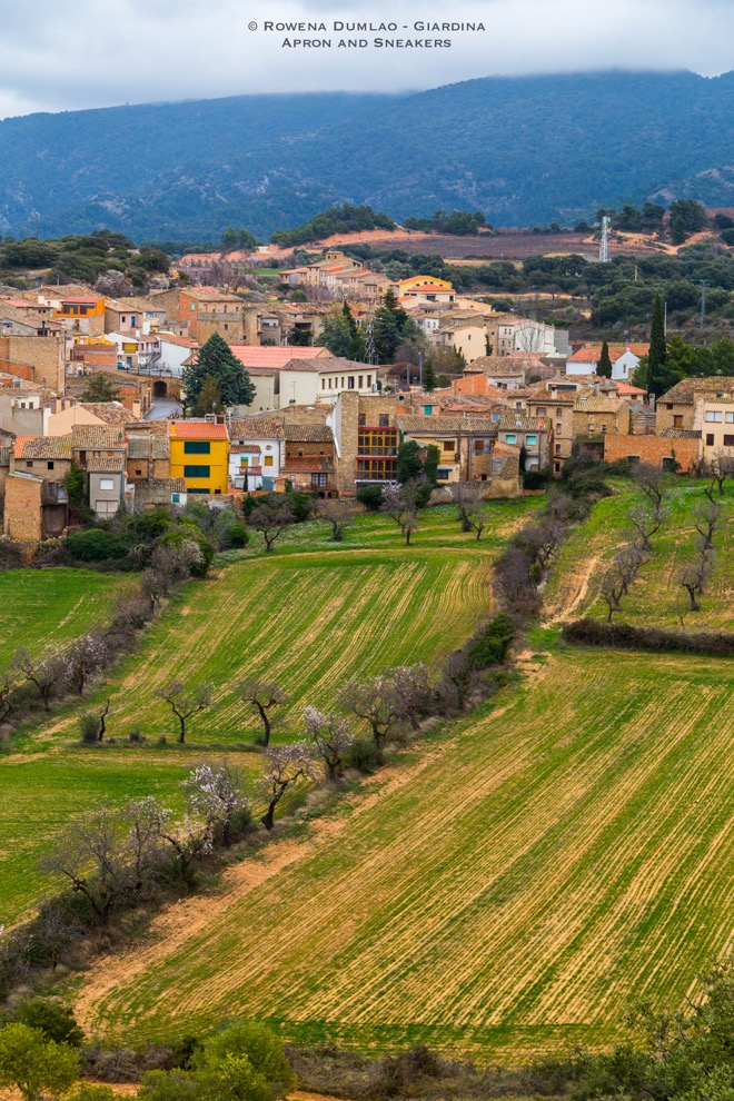 Apron and Sneakers Cooking & Traveling in Italy and Beyond Les