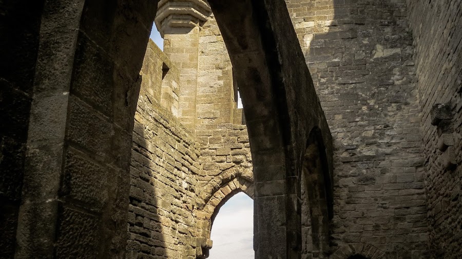 Carcasonne, Carcasona