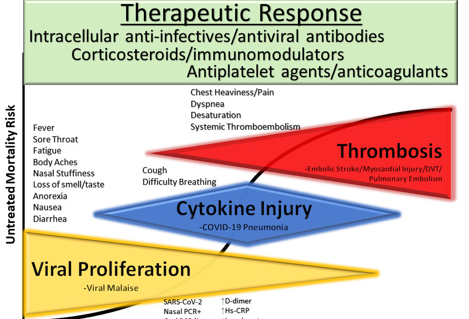 12 Natural Alternatives for Oral Ivermectin (December 2021) - Evidence based Review and Tracker