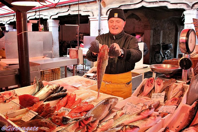 chioggia