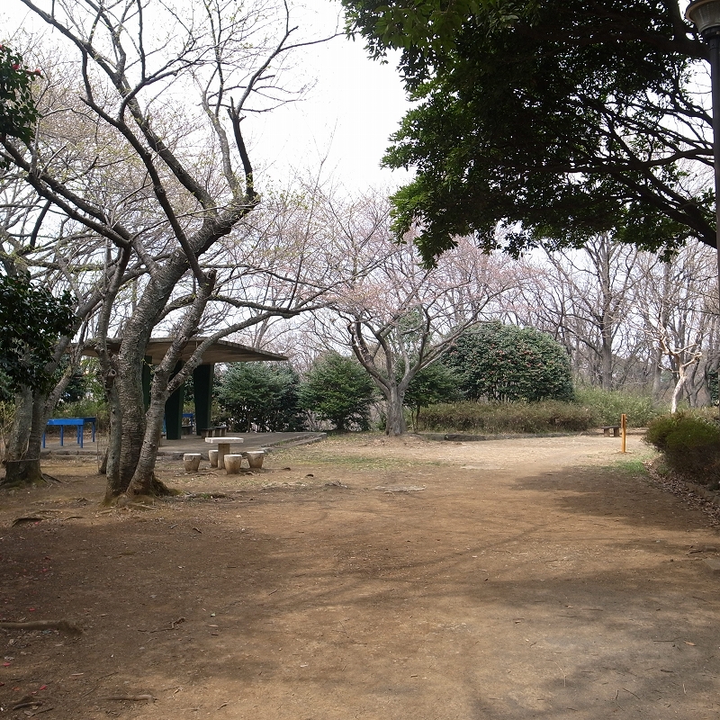 蓼くい 上大岡から久良木公園 蓼くい 上大岡から久良木公園