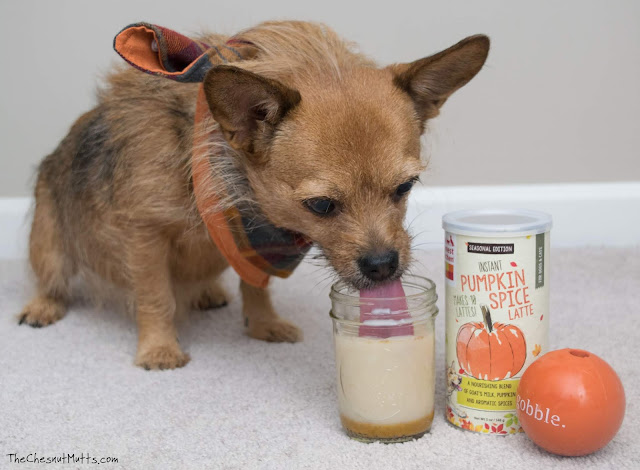 Mini Review: The Honest Kitchen Pumpkin Spice Latte for Dogs