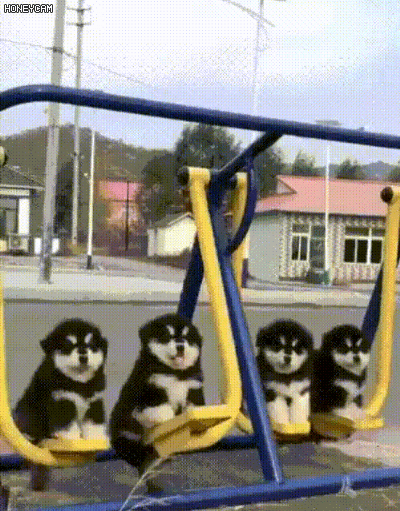 i14423779692.gif