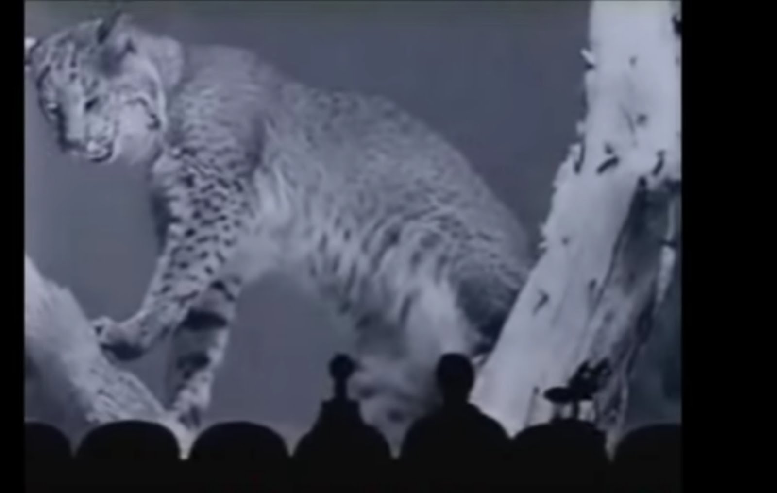 Mystery science 2000 and Bob the 200 foot bobcat welcome you to the blog