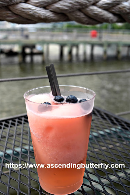 Watermelon Frosé with Blueberries